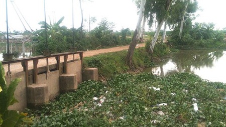 Nghi án người phụ nữ mang bầu 8 tháng bị sát hại, vứt xác trên sông - 1 Hiện trường xảy ra sự việc.