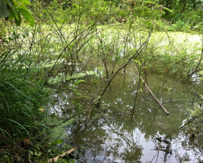 Hiện trường nơi phát hiện xác nạn nhân