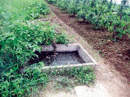 Có những phạm nhân ngâm mình dưới hố phân nhiều giờ đồng hồ.