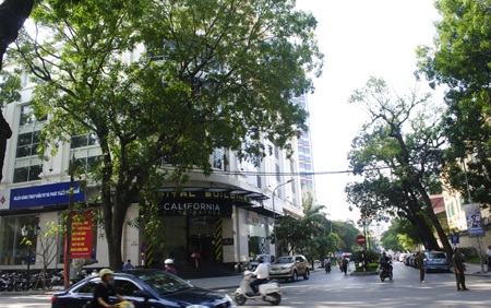 Đường 19/12 giờ vẫn chưa có biển tên