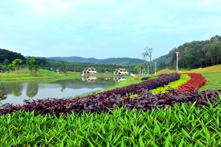Flamingo Đại Lải – sống để tận hưởng - 2 Không khí trong lành gần gũi với thiên nhiên