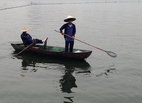 Thú chơi quý tộc: Đánh golf trên mặt nước Hồ Tây - 9 Bóng golf nổi đầy trên mặt nước hồ Tây.