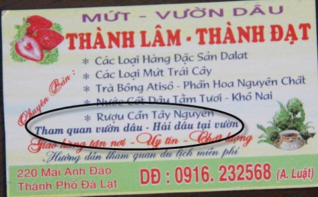 Đà Lạt mộng mơ nhiều mánh lới "chém" du khách - 3 Quán miến hàng rong đòi 120.000 đồng/tô