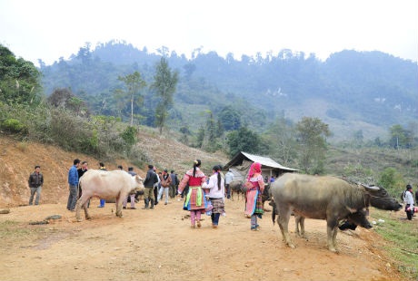 Bắt đầu từ 6h sáng và tan chợ vào khoảng 3h chiều.