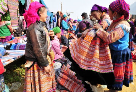 Chim ngũ sắc giá 100k/con. Các loài chim khác quý hiếm hơn giá có thể lên tới vài triệu.