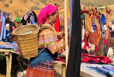 Chim ngũ sắc giá 100k/con. Các loài chim khác quý hiếm hơn giá có thể lên tới vài triệu.