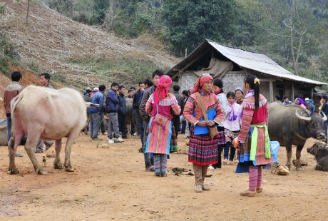 Người bán người mua gặp nhau vui như gặp bạn tay bắt
mặt mừng.