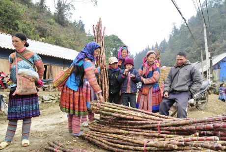  Đông vui nhất là khu vực bán thổ cẩm và dãy hàng mía.