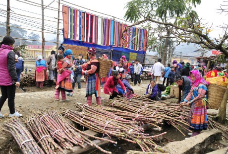 Xung quanh các hàng mía là những đôi vợ chồng,
nhưng phụ nữ người H’Mông mang theo con đi chợ.