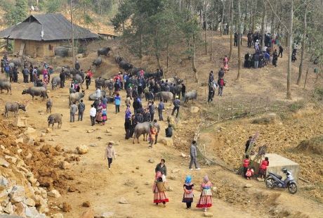 Khu vực bán gia súc nằm ở thung lũng nhỏ phía sau chợ.