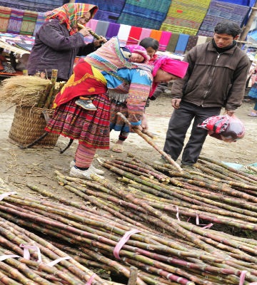 Mua mía xong mẹ con cùng ăn luôn tại hàng.