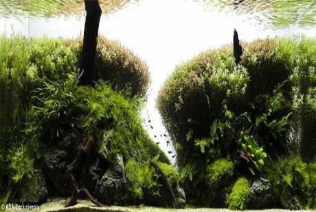 Những công trình đòi hỏi sự kiên nhẫn, có tính nghệ thuật và chi phí cao