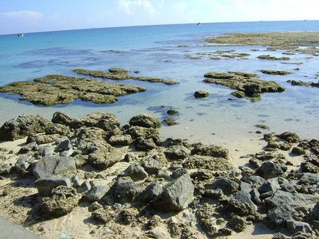 Những cù lao biển đẹp nhất Việt Nam