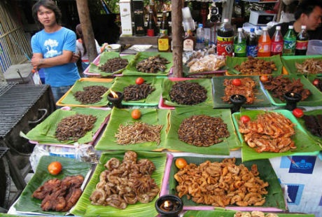 Đến Thái Lan thưởng thức côn trùng chiên giòn tan - 1 Côn trùng được bán tại một ngôi chợ ở Chiangmai,
Thái Lan