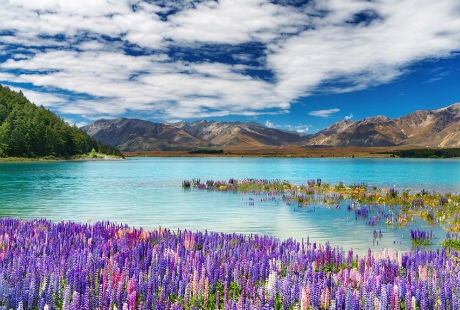 Chiêm ngưỡng 7 hồ nước đẹp nhất New Zealand - 3 Chiêm ngưỡng 7 hồ nước đẹp nhất New Zealand
