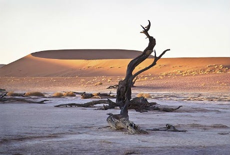 Deadvlei - Nghĩa địa cây khô giữa lòng sa mạc - 4 Cảnh quan thiết lập một cách kỳ quái xinh đẹp