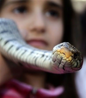 Kết thúc lễ hội, người dân và du khách sẽ được chứng kiến môt màn pháo hoa rực rỡ và đẹp mắt.