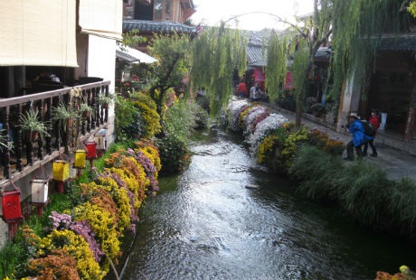 Những suối hoa tuyệt đẹp trong thành khiến bao người đắm say và nhớ mãi khi rời bước