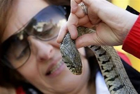 Kết thúc lễ hội, người dân và du khách sẽ được chứng kiến môt màn pháo hoa rực rỡ và đẹp mắt.