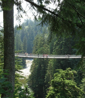 Top những cây cầu đáng sợ nhất thế giới