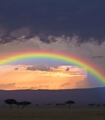 Bầu trời bão tố và cầu vồng ở Masai Mara, Kenya