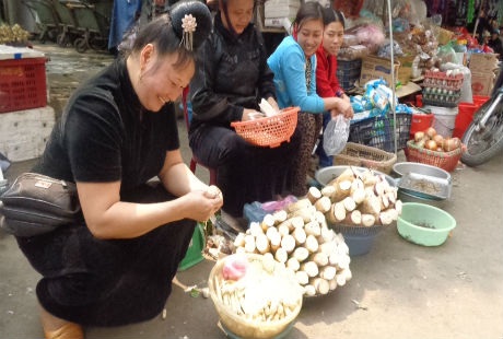 Ngon ngọt, món măng rừng đầu mùa ở Tây Bắc - 2 Măng được bán ở khắp các phiên chợ vùng Tây Bắc.