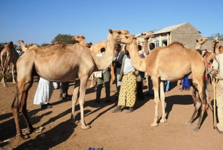 Những thành phố du lịch nguy hiểm nhất thế giới