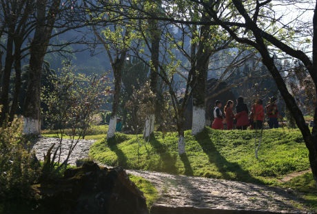 Những lối nhỏ ngập
đầy hoa.