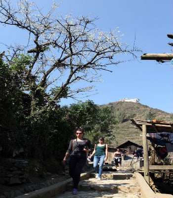 Hoa trang điểm cho
bản Cát Cát thêm hấp dẫn du khách quốc tế.