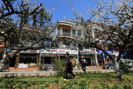 Hoa giăng ngập các
tuyến phố trên thị trấn nhỏ.