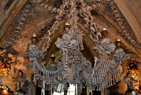 Chiếc đèn được tạo bằng mọi loại xương trên cơ thể người.