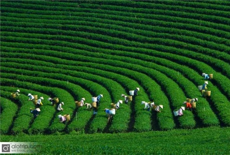 Những điểm “trốn nắng” Hè tuyệt vời nhất ở Việt Nam