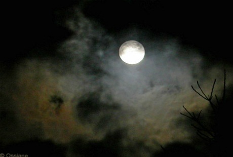 Khi trăng lên giữa đỉnh đầu cũng là lúc đêm hội cầu trăng kết thúc.