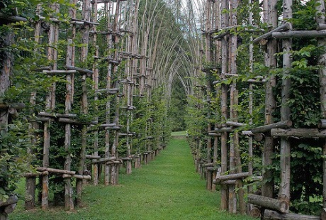 Độc đáo kiến trúc ngôi nhà thờ “cây” trên thế giới - 2 Độc đáo kiến trúc ngôi nhà thờ “cây” trên thế giới