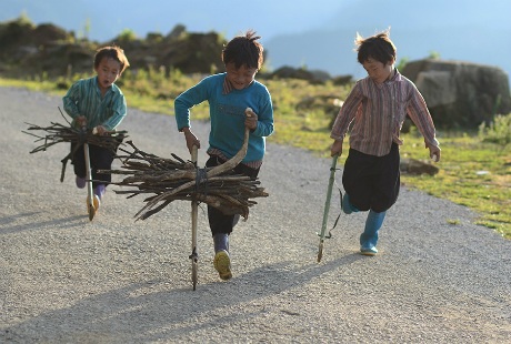 Vừa lấy củi giúp gia đình vừa chơi xe đẩy ở Lao Chải (Sa Pa).