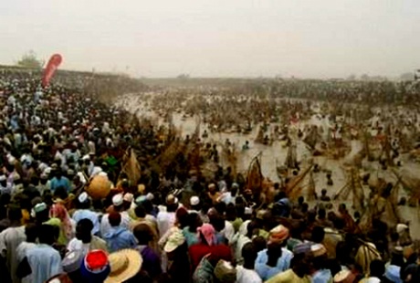 Đến Nigeria xem lễ hội bắt cá Argungru
