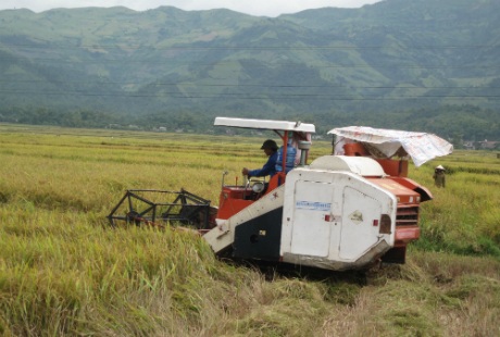 Máy móc kỹ thuật cao đã được người dân nơi đây áp dụng vào sản xuất