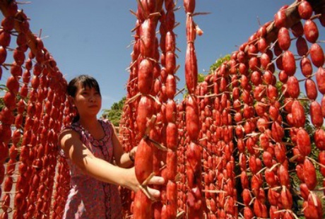 Về An Giang thưởng thức món tung lò mò - 1 Về An Giang thưởng thức món tung lò mò