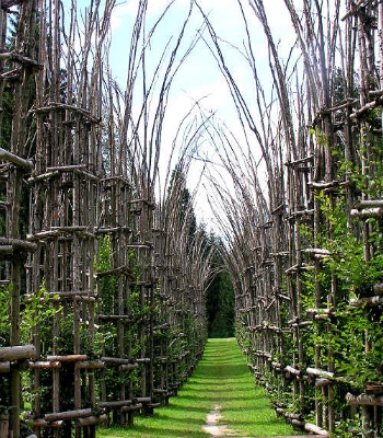 Độc đáo kiến trúc ngôi nhà thờ “cây” trên thế giới - 3 Độc đáo kiến trúc ngôi nhà thờ “cây” trên thế giới