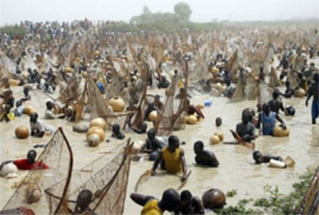 Đến Nigeria xem lễ hội bắt cá Argungru