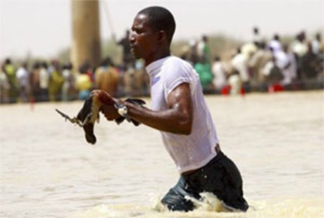 Đến Nigeria xem lễ hội bắt cá Argungru