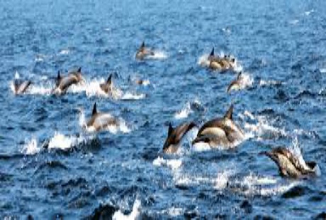 Những lễ hội hấp dẫn hàng đầu ở xứ Nhân sâm - 7 Những lễ hội hấp dẫn hàng đầu ở xứ Nhân sâm