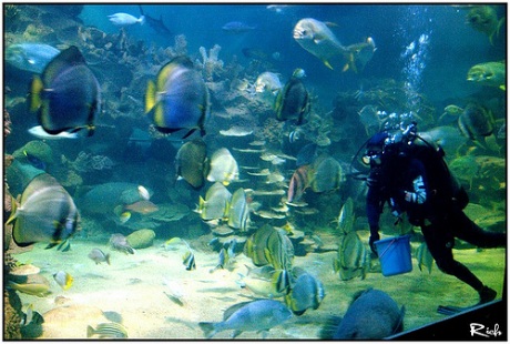 Dạo quanh những điểm du lịch hấp dẫn nhất tại Nha Trang