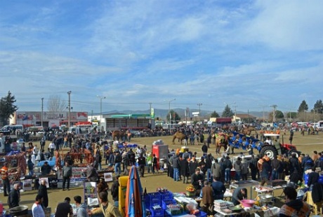 Độc đáo cuội thi chọi... lạc đà ở Thổ Nhĩ Kỳ - 8 Độc đáo cuội thi chọi... lạc đà ở Thổ Nhĩ Kỳ