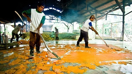 Mạo hiểm mạng sống với nghề... “đào” núi lửa