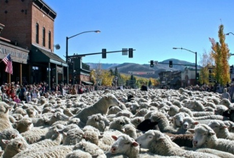 Những lễ hội đặc sắc nhất nước Mỹ