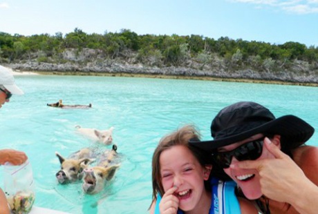 Những hòn đảo bị xâm chiếm bởi các loài động vật