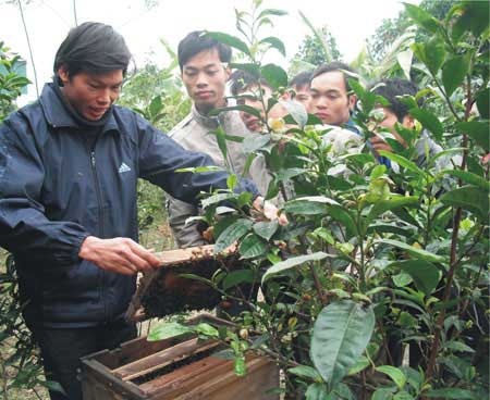 Hãy thực hiện ước mơ cùng “Sinh ra từ làng” - 1