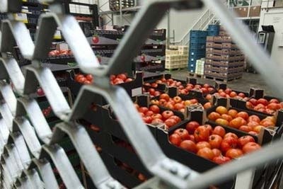 Châu Âu: Bùng phát dịch tiêu chảy nguy hiểm do E. coli - 1 Châu Âu: Bùng phát dịch tiêu chảy nguy hiểm do E. coli - 1