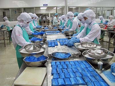 Sự thật về công nghệ làm cá bò “bẩn” ở Việt Nam - 2